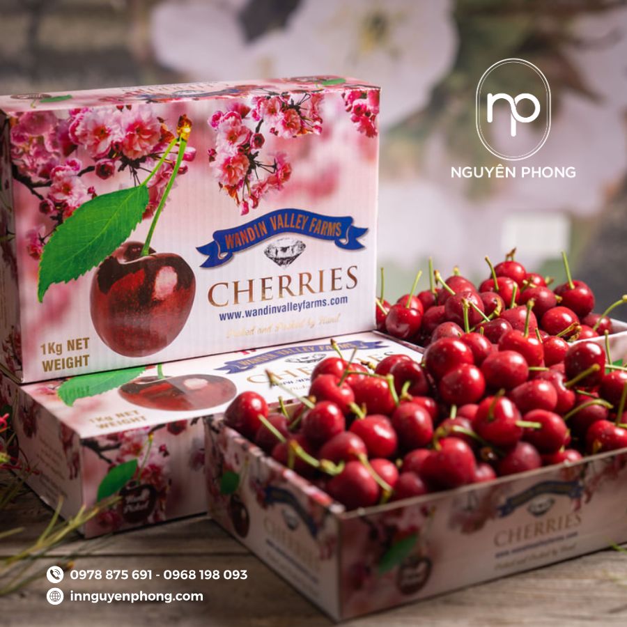 in-hop-giay-dung-cherry-gia-re-tai-ha-noi